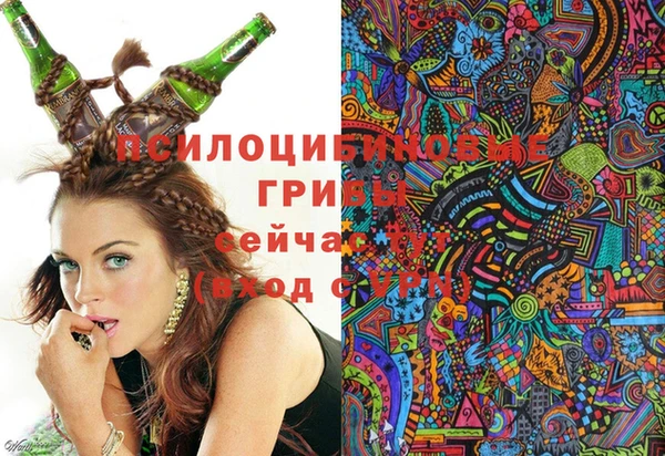 стафф Баксан